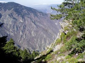 photo coins arrondis